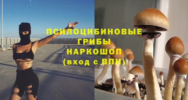 эйфоретик Абаза