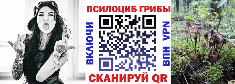 Галлюциногенные грибы ЛСД наркошоп Кохма