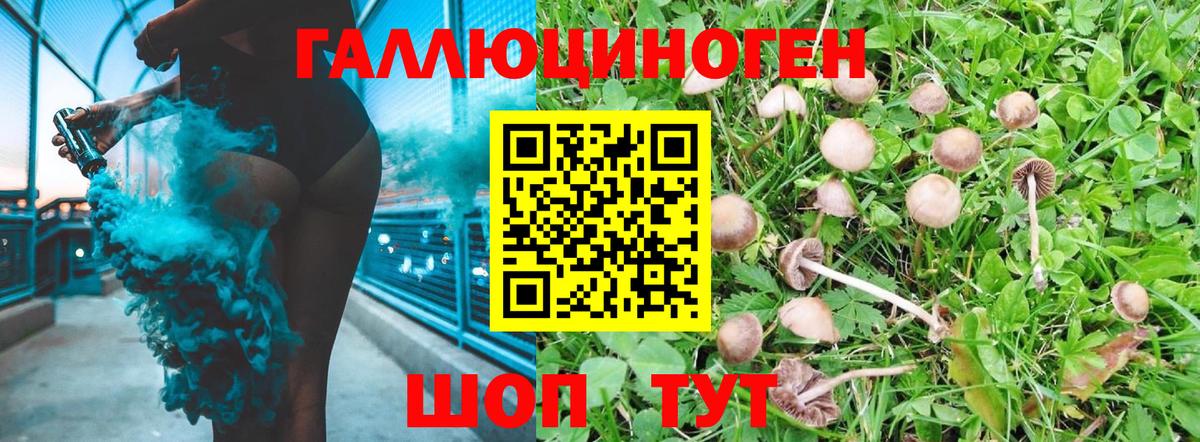 Галлюциногенные грибы мицелий  Псилоцибиновые грибы MAGIC MUSHROOMS  Вход с VPN  Кохма 